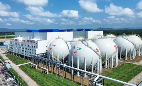 泰安用好關鍵一招，新材料技術驅動發展活力全面釋放